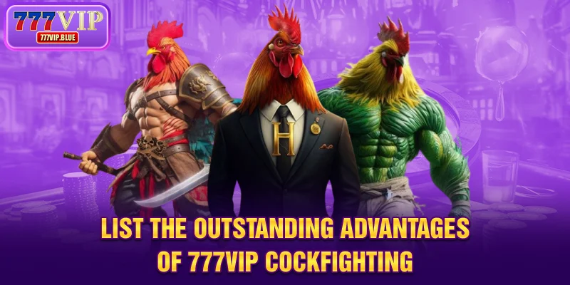 List the outstanding advantages of 777VIP cockfighting