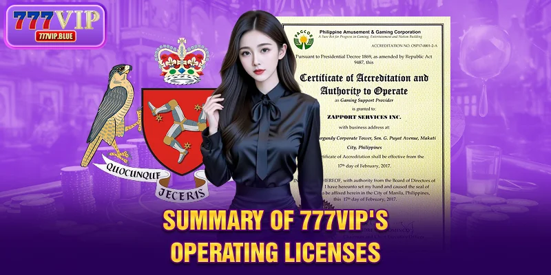 Summary of 777VIP's operating license